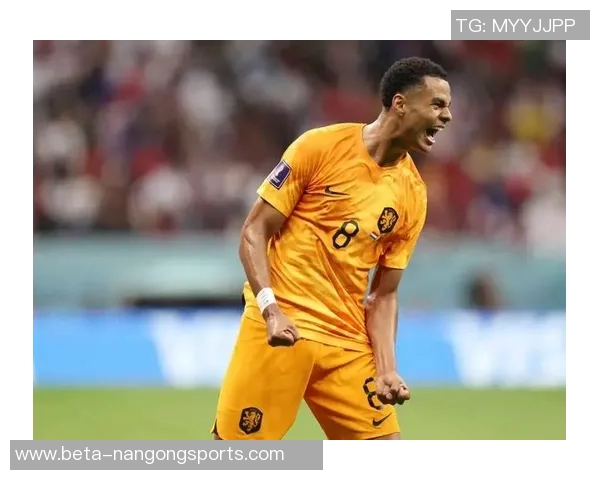 荷兰对阵罗马尼亚精彩直播全程回顾与赛后分析 荷兰对阵罗马尼亚精彩直播全程回顾与赛后分析